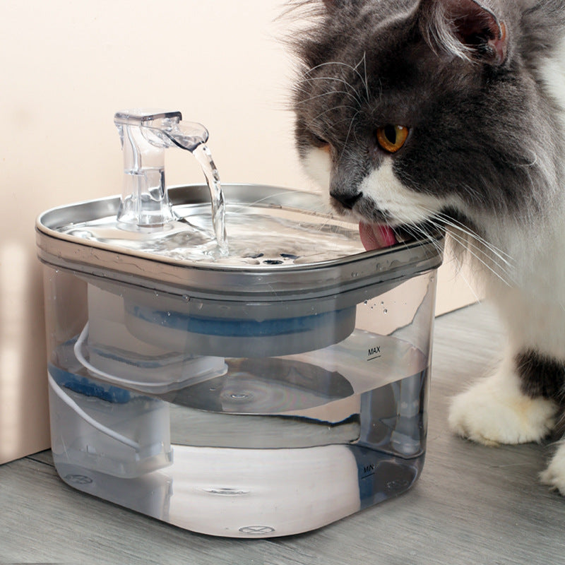 Cat Stainless Stell Automatic, Smart Circulation Water Dispense